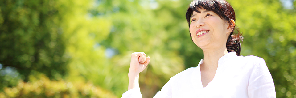 �Ⴓ�Ɗ���,�~�g�R���h���A,�T�v��,�D��,����