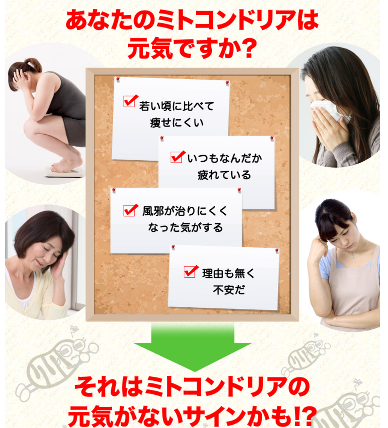 若さと活力,ミトコンドリア,サプリ,妊活,美肌